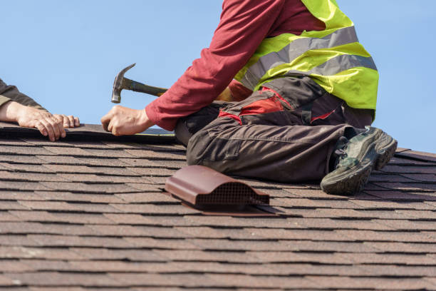 Best Shingle Roofing Installation  in Three Forks, MT